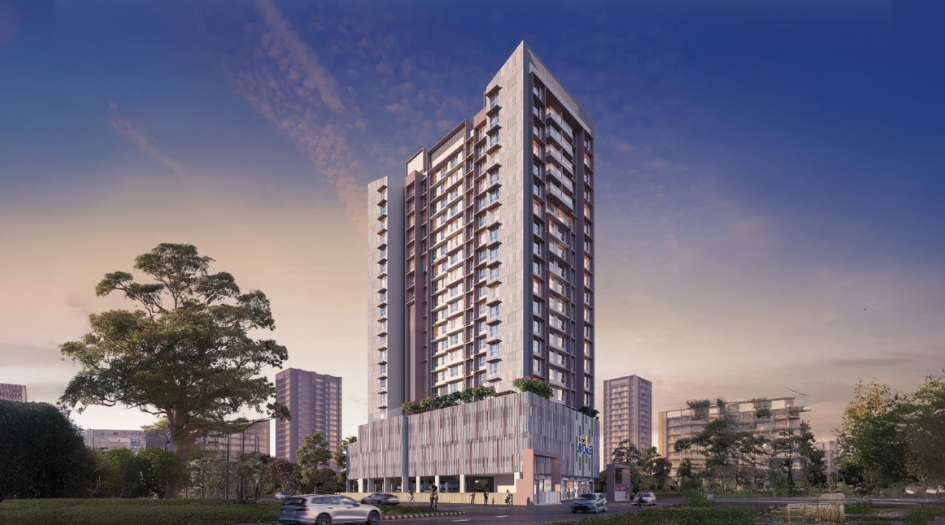 _ Elevation Image